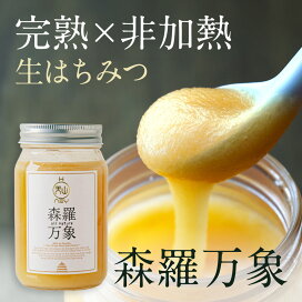 楽天市場】はちみつ / 森羅万象 天山蜂蜜 600g【 蜂蜜 完熟蜂蜜 非加熱