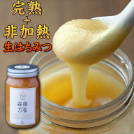 はちみつ / 森羅万象 天山蜂蜜 600g【 蜂蜜 完熟蜂蜜 非加熱 生はちみつ 高級蜂蜜】マヌカハニー や一般…