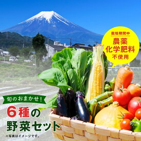 わっぱファーム・6種のお野菜セット / 有機 オーガニック 有機野菜 オーガニック野菜 産地直送 山梨県産