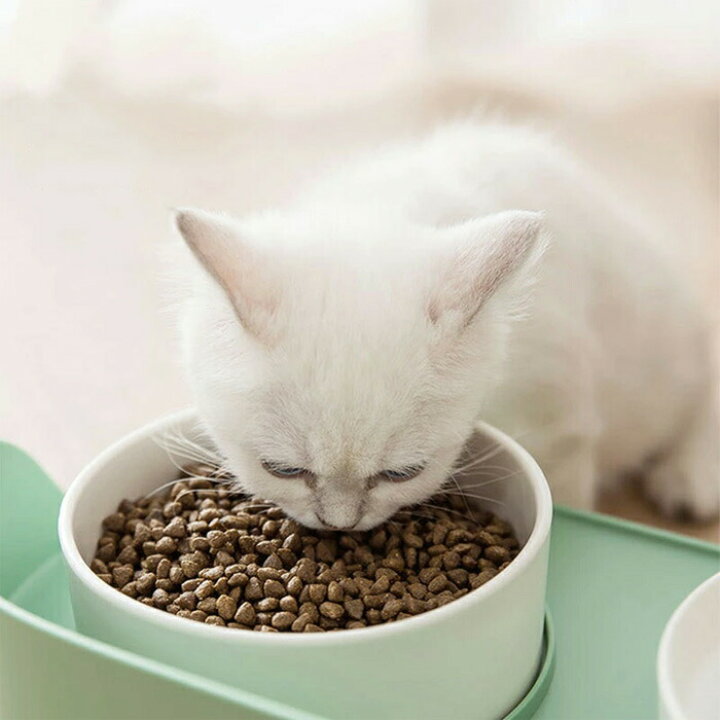 楽天市場】ペット食器 犬 猫 3Color 食器台 やさしい高さのある食器台 
