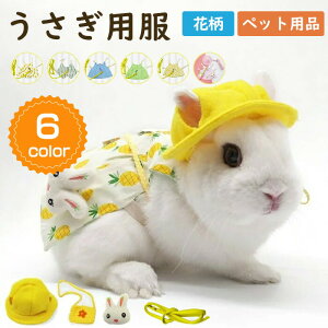 p   z[hbv  p U opn[lX p n[lX bgp  ʕ 킢 ڐn  LOBe   ybgpi 