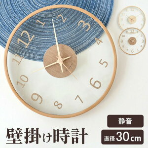 ؍̐lC É 30cm KX ؐ 2^Cv 2F  NA  Ebh CeA É Ǌ| v lC̑蕨 |v Ǌ| v k Ȃ  NbN