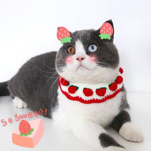 G nEB LpXq L蕨 CI Ă EBbO t RXvLbv Ԃ EȒP LCIĂ lRXq tybg ybg L