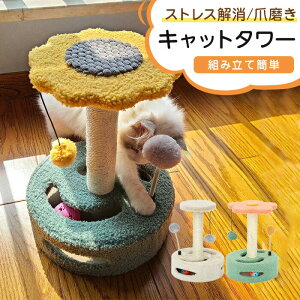 L ܂Ƃ ^[ Lbg^[  ߂Ƃ |[ L^[  t VRTCU   ^ qL  KK ܖ XgX gݗĊȒP ܂Ƃ|[ L