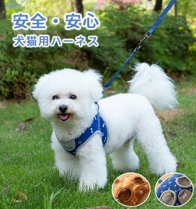  L n[lX  ^ ^ ^ Ȃ ɂ SȂ qh~  킢 J̓S UAoK{̃n[lXłB