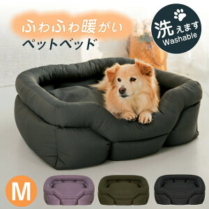 ӂӂxbh  L ybgxbh MTCY }J NbV pNbV ybgpi ^ ^ ^ tt  xbh Q xbg Vv CeA h 