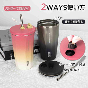 TYESO Of[V ^u[ z_[t Xg[t  600ML e ^fM\ XeX ^  gx^u[  IȂ  ڂȂ Rh~ W 