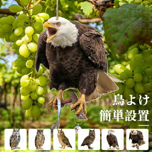 悯tNE tNE^悯 悯 JX悯 悯 JX  悯ObY 悯ObY JX悯ObY ObY   ObY  ΍ 炷悯 悯悯 J