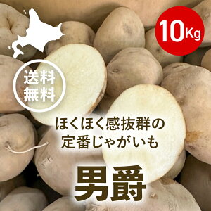 y(ꕔn)z2025NYkCႪj݁i10kgj