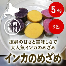 【送料無料(一部地域除く)】2023年北海道産インカのめざめ3色セット（5kg）※お子様大喜びのジャガイモ！