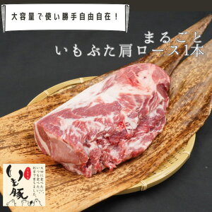 y}\ N[|5%OFFztY  [X ubN  1{ 2kg e Ɩp HX  Y ؓ Ԃ uh  ① `h Nx _炩 ē geL