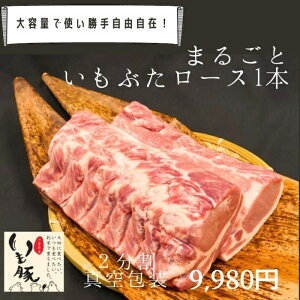 _LO1ʁ^ tY  [X ubN  1{ 2 4kg`5kg e Ɩp HX Y ؓ Ԃ uh  ① `h _炩 ē Ƃ񂩂 gJc Xe[L \e