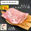 【本日エントリーでポイント10倍】【フレッシュな冷蔵でお届け】 千葉県産 いも豚 バラ ブロック 塊 1枚 2分割 大容量 業務用 飲食店 送料無料 国産 豚肉 ぶた ブタ ブランド豚 肉 冷蔵 チルド 鮮度 柔らかい 豚カルビ 焼肉 サムギョプサル ソテー 生姜焼き[fm]