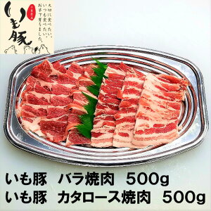 y{N[|5%OFFz}Ⓚ  Mtg j v[g pI Y lC uh  ē 2 1kg BBQ Lv p[eB[ | W[V[ j g Â Ԑg _炩 