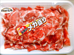 y{N[|5%OFFzr[5.0 }Ⓚ k O J^[X ؂藎Ƃ 800g  R}   t ؓ ؏ ؂ ؃R} Ԃ Ɩp Ⓚ ^ ܖ60[fm]