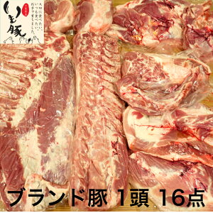 tY  ubN  1 o [X [X q Ef  V^} v 55kg`60kg e Ɩp  lߍ킹 ܂邲 HX Y ؓ Ԃ u^ uh  ① `