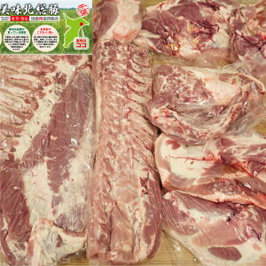 tbVȗ①ł͂ tY O ubN   1/2 o [X [X q Ef  V^} v 25kg`30kg e Ɩp HX  lߍ킹 HX Y ؓ 