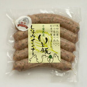 t uh  e҂ EBi[ t rY ECi[\[Z[W | Ö  n H[  Y S S  EBi[ |Cg Mtg j ii  䒆 