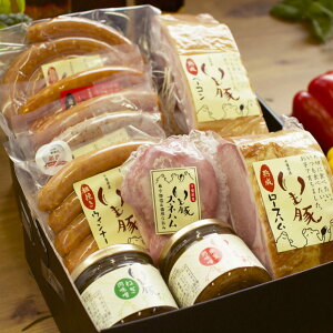 j n  Ԃ Mtg 10_ {[~[ oYj lC uh  lߍ킹 v[g pI  ECi[ A Xln n [Xn x[R \[Z[