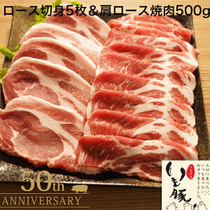 tY lC uh  Â  Hה 2 1.0kg [X ؐg Xe[L 100g×5 [Xē 500g v[g pI   Mtg oYj O |[N\e[ Ƃ񂩂 g