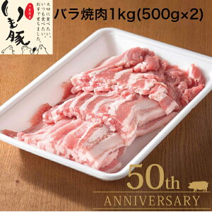 }Ⓚ  ē uh o ē ؃Jr 1kg(500g×2pbN) H p  v[g Hו Y  e | W[V[  BBQ   r[  
