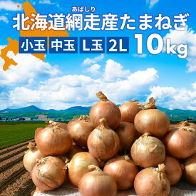 最終在庫処分セール！北海道網走産玉葱 10kg 送料無料 たまねぎ タマネギ カレー シチュー バーベキューやギフトに！ 国産 北海道産 網走 玉葱 玉ねぎ 産地直送 大容量 10kg 10キロ お得用 まとめ買い 業務用 贈り物 甘い シャキシャキ 美味しい 北海道