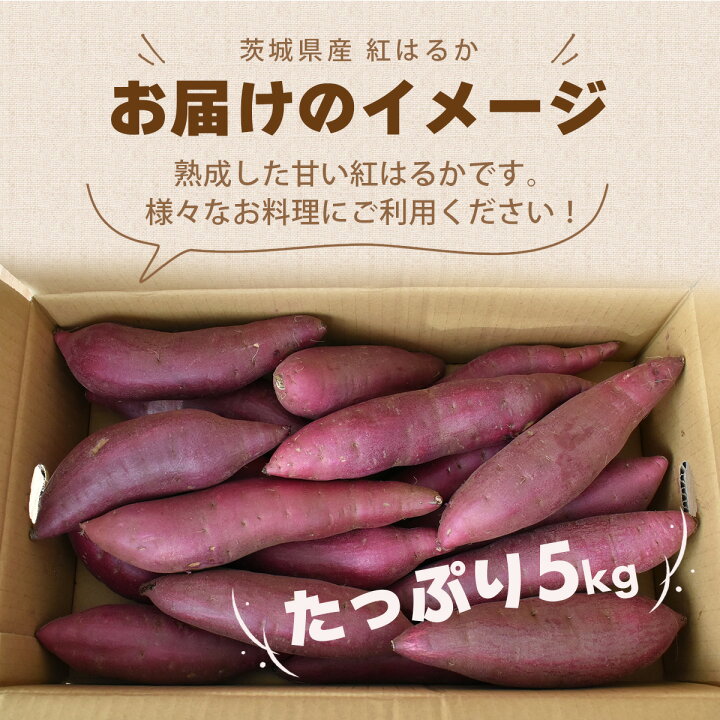 楽天市場】茨城県産 さつまいも 紅はるか シルクスィート Mサイズ 5Kg 