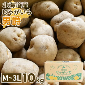 北海道産男爵芋　10kg M ～ 3Lサイズ　（男爵）　コロッケやポテトサラダ、じゃがバター M L LL 2L 3L じゃがいも 10キロ 大きい