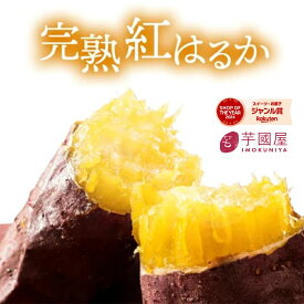 ＼ランキング1位／国産 紅はるか 冷凍 の 焼き芋 1kg 秋ギフト 茨城 冷やし やきいも ねっとり 無添加 茨城県産 冷凍焼き芋 取り寄せ 冷凍焼きいも 焼きいも 芋 スイーツ お菓子 さつま芋 和スイーツ 贈り物 高級 お取り寄せ 絶品 お歳暮 クリスマス 冬ギフト お年賀 Y1