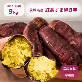 訳あり 規格外 冷凍 焼き芋 9kg 紅あずま 冷凍 茨城 焼芋 焼き芋 スイーツ さつまいも 芋 和スイーツ ホクホク系 プレゼント ギフト お取り寄せ やきいも 子ども おやつ