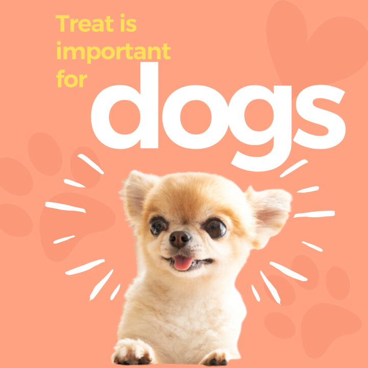 楽天市場 1000円ポッキリ 送料無料 犬用品 犬用おやつ 干し芋 500g ドッグフード スナック 犬おやつ 犬のおやつ 間食 乾物 国産 無添加 訳あり 茨城県産 紅はるか 切り落とし ほしいも お菓子 天日干し 芋 さつまいも さつま芋 プレゼント お土産 千円ぽっきり 1000