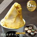 【早期割引 7/20まで！】お中元 スイーツギフト「南瓜カボチャ 6個入」送料無料 アイスクリーム ジェラート シャーベット 出産 内祝い お祝い 誕生日 お取り寄せ お取り寄せスイーツ お土産 手土産