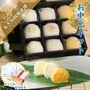 【早期割引 7/20まで！】お中元 スイーツギフト「あきみ(秋味)大福ジェラート 9個入」送料無料 アイスクリーム ジェラート シャーベット 出産 内祝い お祝い 誕生日 お取り寄せ お取り寄せスイーツ お土産 手土産