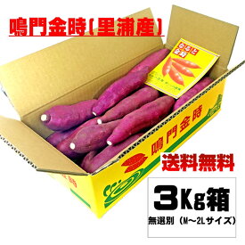 鳴門金時 さつま芋 3Kg （里浦産）[同梱OK 送料込み】 ※北海道、沖縄及び離島は別途送料が発生します