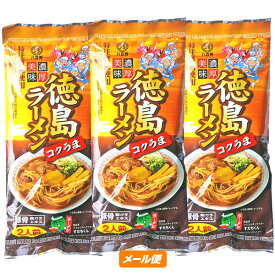 徳島ラーメン【コクうま】【棒麺2食】入袋×3袋（ネギ入り）【ゆうパケット】