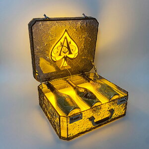 LEDI VpW AN JtȌANC{bNX LEDƖtbN C{gfBXvCbN LEDCgVp{bNXfBXvCP[X 