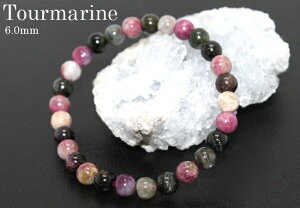 g} uXbg AAA 6.0mm VR΁@p[Xg[@uXbg@AXg[@10a dC( a O uX Xg[    蕨 aa  l  