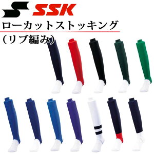 (S)06 lR|X GXGXPC 싅C [JbgXgbLOiu҂݁j YA2201 SSK y20FWJz