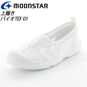 [X^[ 㗚 qC l jp 11211001 MS V[Y