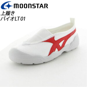 [X^[ 㗚 qC l jp 11211182 MS V[Y