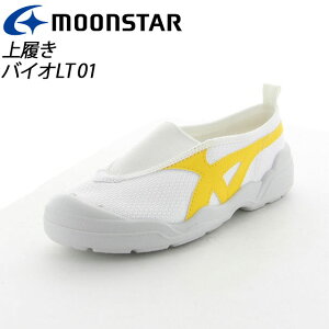 [X^[ 㗚 qC l jp 11211183 MS V[Y