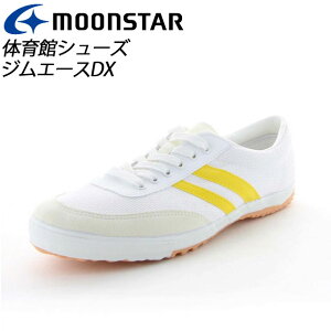 [X^[ ̈كV[Y Y fB[X WjA wZ XN[ CG[ 11220073 MS