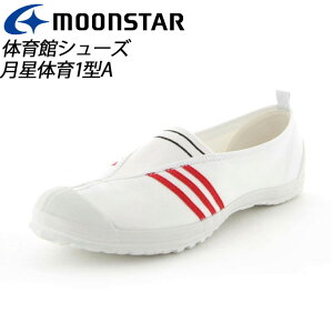 [X^[ ̈كV[Y Y fB[X WjA wZ XN[ bh 11220502 MS