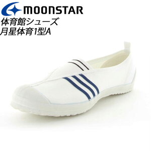 [X^[ ̈كV[Y Y fB[X WjA wZ XN[ u[ 11220505 MS