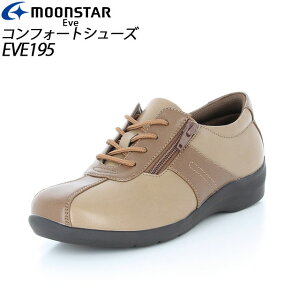 [X^[ RtH[gV[Y fB[X EH[LO y 12427683 MS Cu