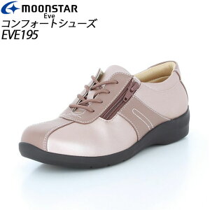 [X^[ RtH[gV[Y fB[X EH[LO y 12427684 MS Cu