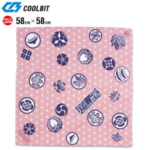 lR|X N[rbg ΍ObY N[ nJ` ₵ N[nJ` Ɩ HCHKAM COOLBIT ď̃GR΍ 􂦂邩qI 3WAY { a {敗