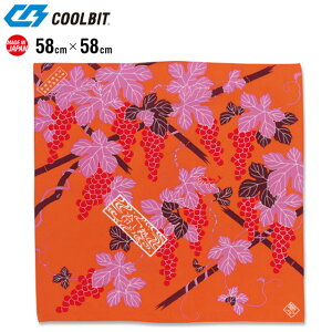 lR|X N[rbg ΍ObY N[ nJ` ₵ N[nJ` ԕI HCHRGR COOLBIT ď̃GR΍ 􂦂邩qI 3WAY { a {敗