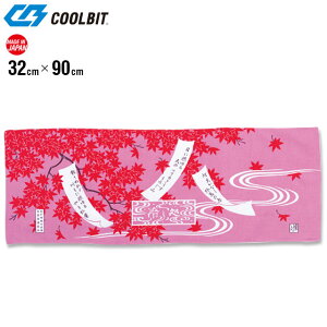 lR|X N[rbg X|[c^I ₵ oe[k xm[ ₦ʂ HCTROM COOLBIT Ɨp AEghA X|[c W[ Ă̑uObY MǑ΍ Ȃ̃TT {