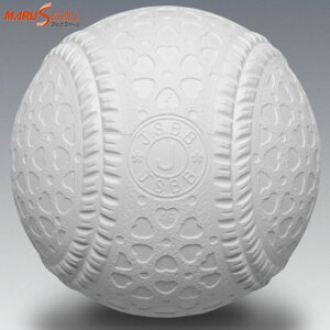 ダイワマルエス 野球 ボール 軟式J号 ジュニア用 16JBR120 12個入り 1ダース 新意匠軟式ボール